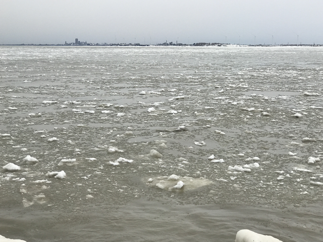 Study aims to protect Buffalo shorelines from major storm events - Vimarsana News