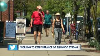Working to keep Elmwood vibrant and strong