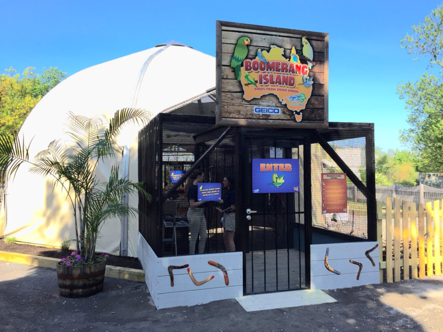 Boomerang! New exhibit opens at Buffalo Zoo Buffalo, NY
