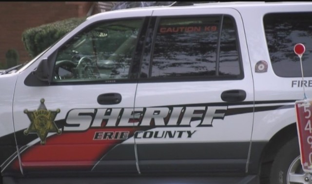 Bus driver arrested, charged with DWI while operating school bus with children on it - Vimarsana News